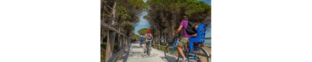 Alugar de Bicicletas VRSA